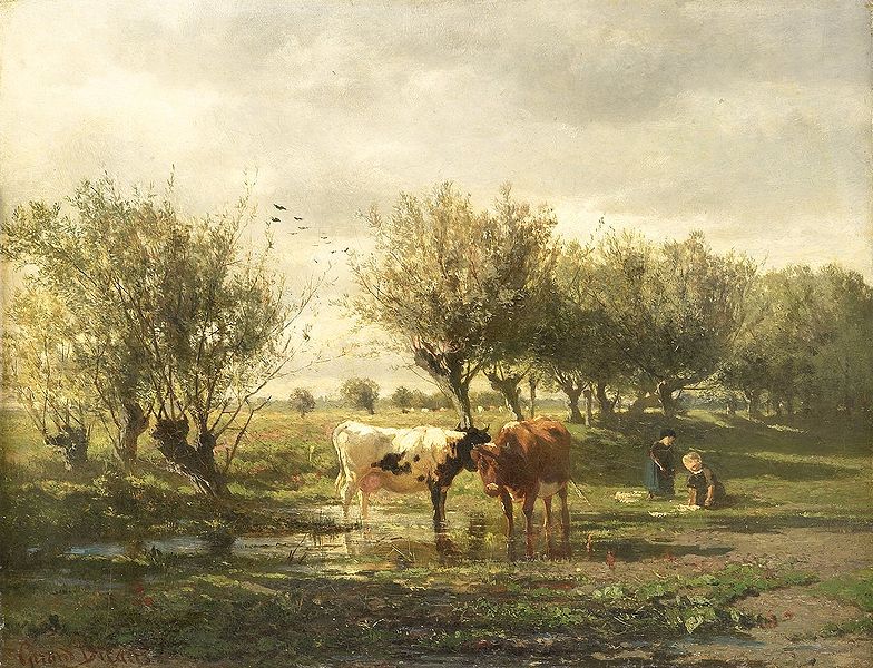 Cows at a pond